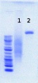 Thumbnail for version as of 14:26, 20 June 2012