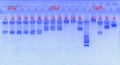 Thumbnail for version as of 13:44, 4 February 2013