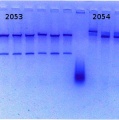 Thumbnail for version as of 15:45, 9 July 2014