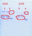Thumbnail for version as of 15:23, 11 April 2014
