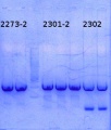 Thumbnail for version as of 12:27, 22 August 2014