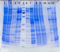 Thumbnail for version as of 16:53, 26 November 2014