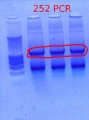 Thumbnail for version as of 10:16, 7 February 2012