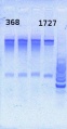 Thumbnail for version as of 15:45, 16 May 2013