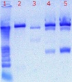 Thumbnail for version as of 17:16, 30 June 2011