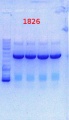 Thumbnail for version as of 14:52, 26 August 2013
