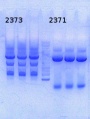 Thumbnail for version as of 13:34, 3 November 2014