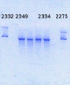 Thumbnail for version as of 13:28, 3 October 2014