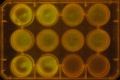 Thumbnail for version as of 12:43, 12 January 2012