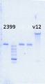 Thumbnail for version as of 17:16, 13 January 2015