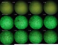 Thumbnail for version as of 18:16, 26 April 2011