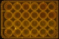 Thumbnail for version as of 15:59, 13 April 2016