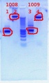 Thumbnail for version as of 15:48, 13 February 2012