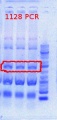 Thumbnail for version as of 14:02, 23 May 2012