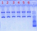 Thumbnail for version as of 15:07, 23 May 2012