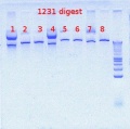 Thumbnail for version as of 09:01, 27 July 2012