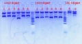Thumbnail for version as of 09:01, 9 October 2012