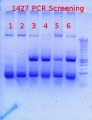 Thumbnail for version as of 12:44, 14 November 2012