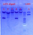 Thumbnail for version as of 15:31, 12 December 2012