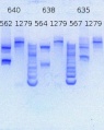 Thumbnail for version as of 15:32, 21 June 2013