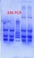 Thumbnail for version as of 09:05, 10 April 2013
