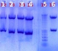 Thumbnail for version as of 15:23, 10 August 2011
