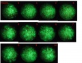Thumbnail for version as of 16:09, 4 November 2011