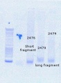 Thumbnail for version as of 11:28, 21 September 2016