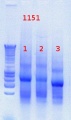 Thumbnail for version as of 08:53, 10 July 2012