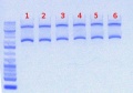 Thumbnail for version as of 13:09, 18 June 2012