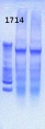 Thumbnail for version as of 14:42, 8 April 2013