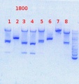 Thumbnail for version as of 16:17, 26 July 2013