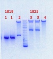 Thumbnail for version as of 14:33, 19 August 2013