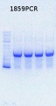 Thumbnail for version as of 12:38, 28 October 2013