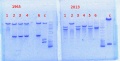 Thumbnail for version as of 11:53, 30 January 2014
