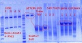 Thumbnail for version as of 14:44, 8 April 2012