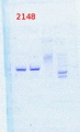 Thumbnail for version as of 11:05, 24 April 2014