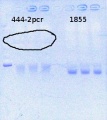 Thumbnail for version as of 10:59, 19 May 2014