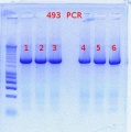 Thumbnail for version as of 14:57, 23 November 2011