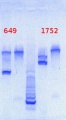 Thumbnail for version as of 12:53, 29 May 2013