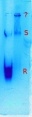 Thumbnail for version as of 18:39, 18 June 2013