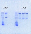 Thumbnail for version as of 16:41, 12 August 2013