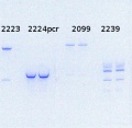 Thumbnail for version as of 14:28, 12 June 2014
