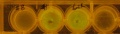 Thumbnail for version as of 09:50, 22 June 2014