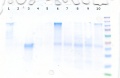 Thumbnail for version as of 15:23, 10 October 2016