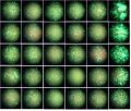 Thumbnail for version as of 12:53, 25 April 2016