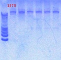 Thumbnail for version as of 15:37, 8 March 2013
