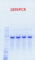 Thumbnail for version as of 11:23, 6 September 2013