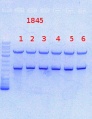 Thumbnail for version as of 09:54, 23 September 2013