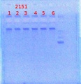 Thumbnail for version as of 14:16, 4 April 2014